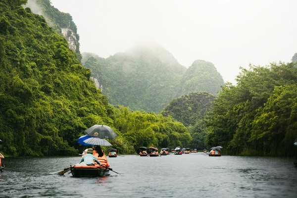 Quels sont les meilleurs itinéraires pour une randonnée en forêt en Amazonie?